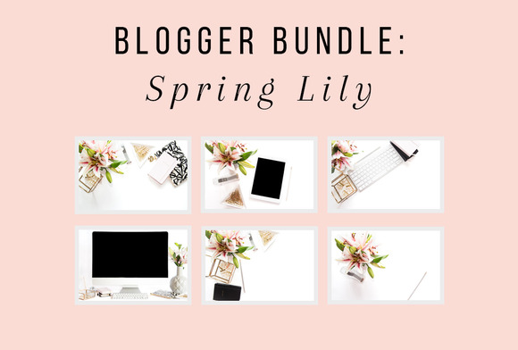 PLSP Spring Lily Blogger Bundle PLSP Spring Lily Blogger Bundle
