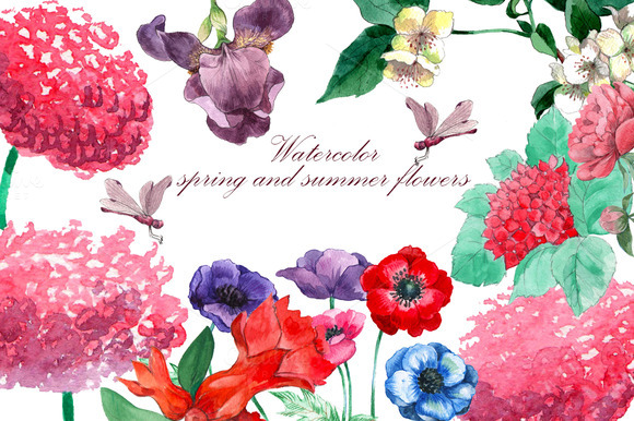 Watercolor Spring And Summer Flowers