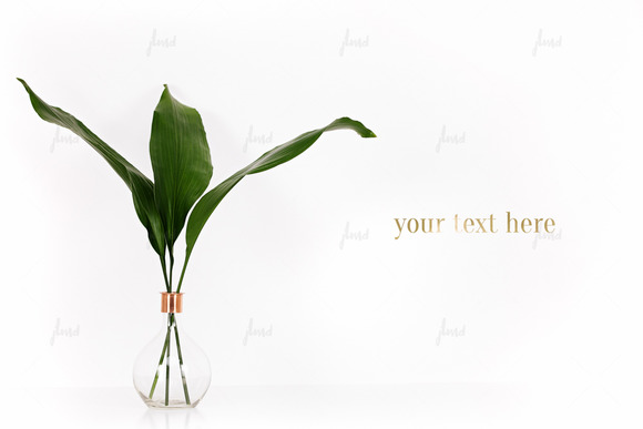 Styled Floral On White Bg Styled Floral On White Bg