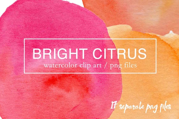 Bright Citrus Watercolor Clipart PNG