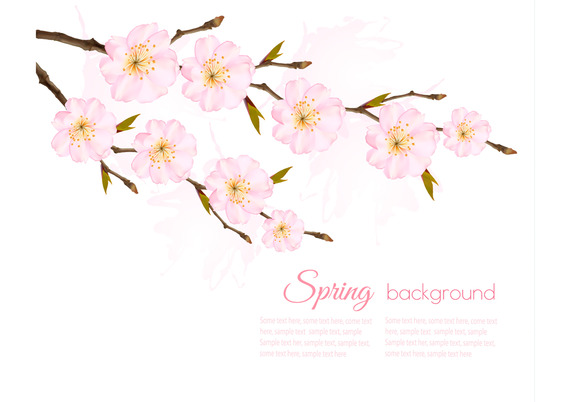  Animasi  Bunga  Sakura   Maydesk com