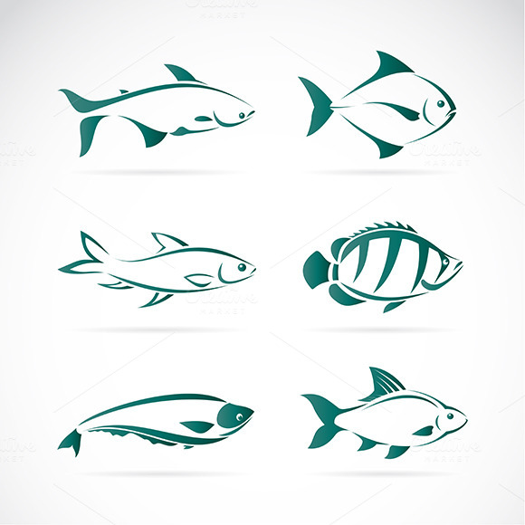 Vector Group Of Fish Vector Group Of Fish