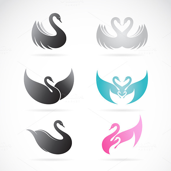 Vector Set Of Swan Design Vector Set Of Swan Design
