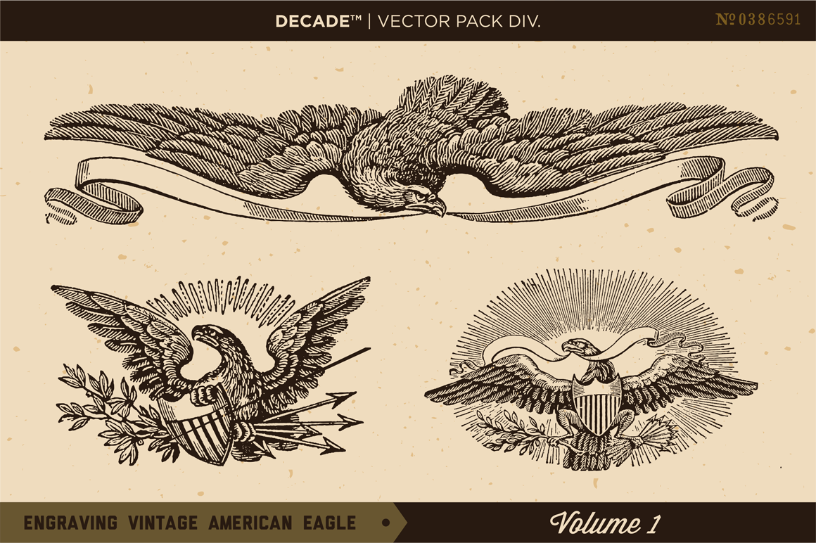 Engraving Vintage American Eagle ~ Objects on Creative Market