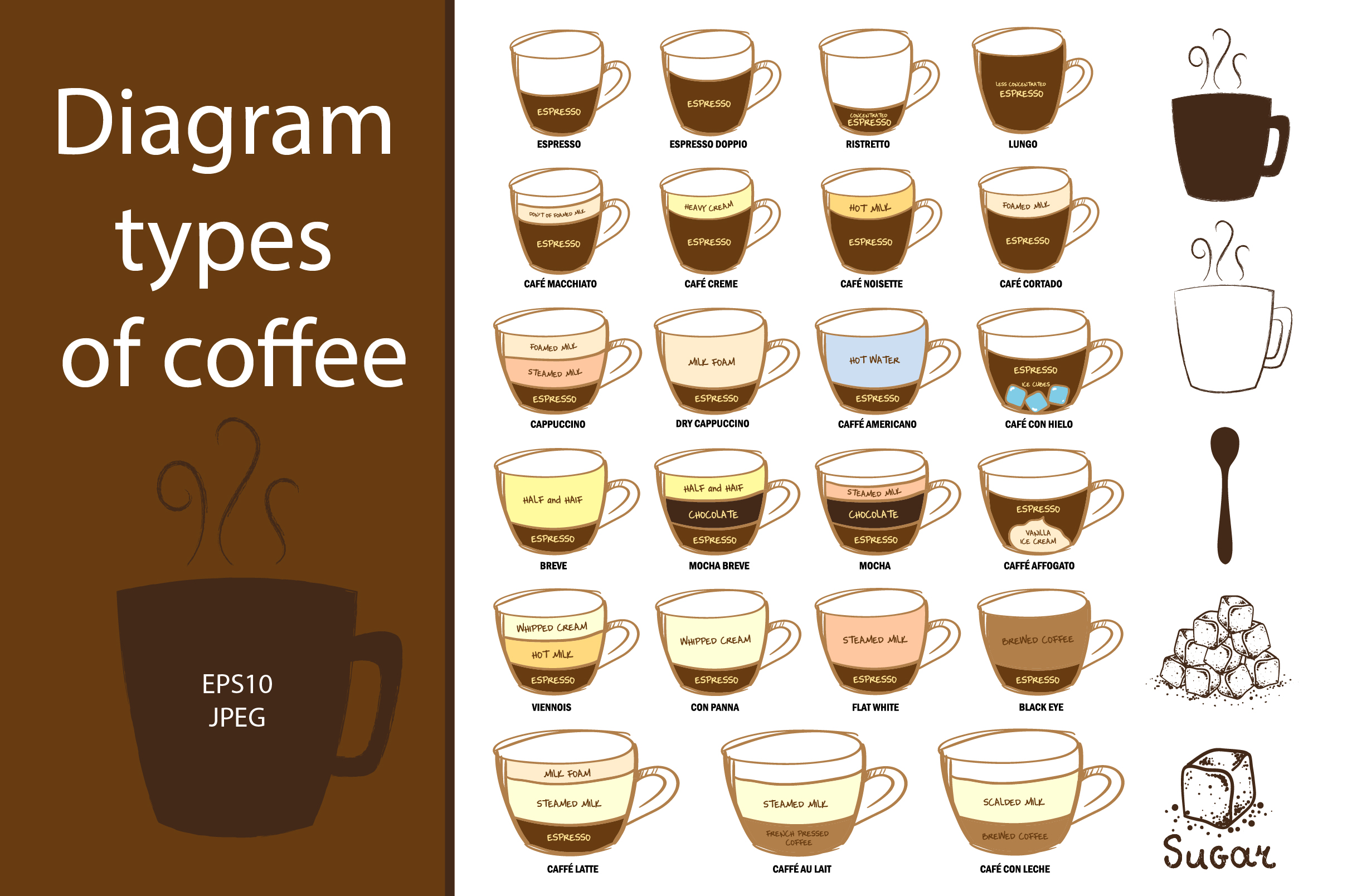 Diagram types of coffee Illustrations on Creative Market