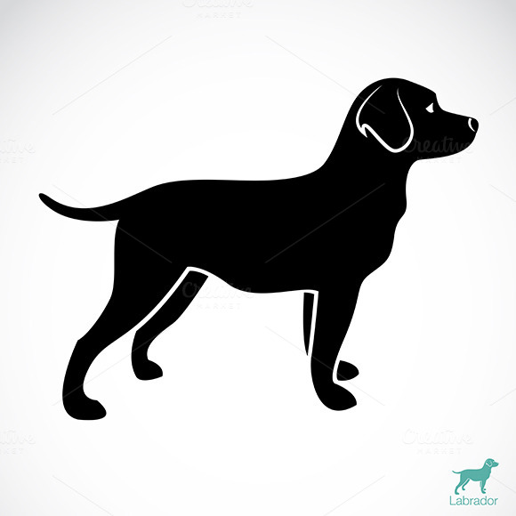 Vector Image Of An Dog Labrador Vector Image Of An Dog Labrador