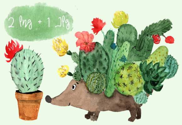 Watercolor Cactus Hedgehog PNG JPG Watercolor Cactus Hedgehog PNG JPG