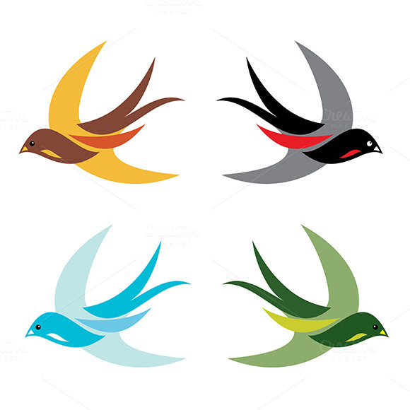 Four Colorful Birds In Flight Four Colorful Birds In Flight
