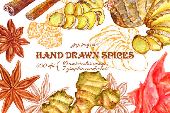 Hand Drawn Spices Set
