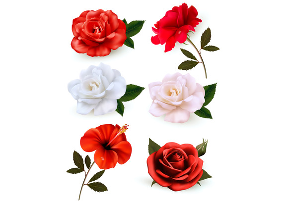 Set Of Beautiful Flowers Set Of Beautiful Flowers