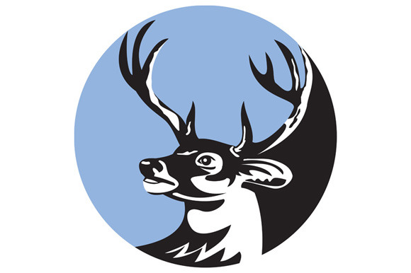 Whitetail Deer Buck Head Circle Whitetail Deer Buck Head Circle