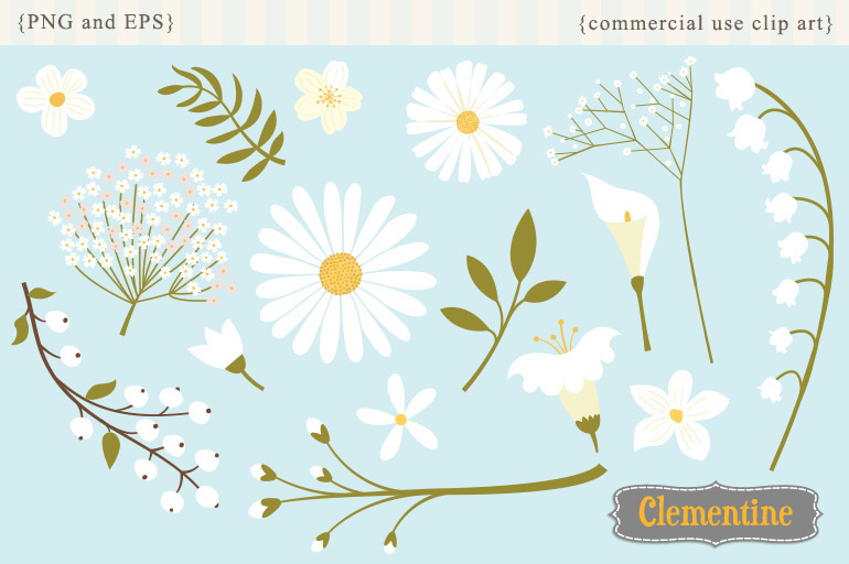 White Flowers ~ Illustrations on Creative Market