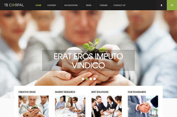 Business Drupal Theme TB Corpal Business Drupal Theme TB Corpal