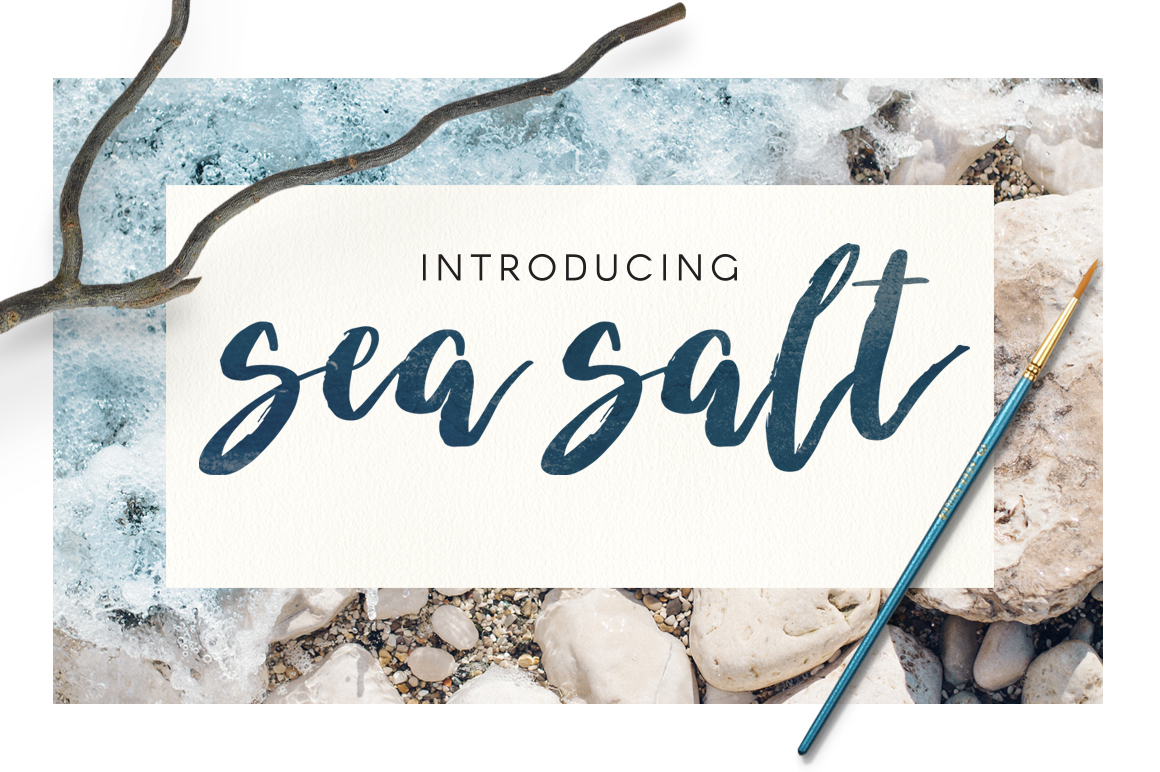 "Sea Salt" Brush Script Script Fonts on Creative Market