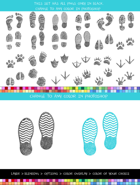 Crayon Footprints Animals Humans