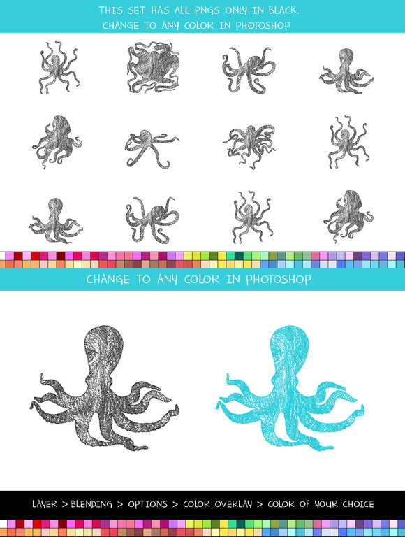 Crayon Octopus