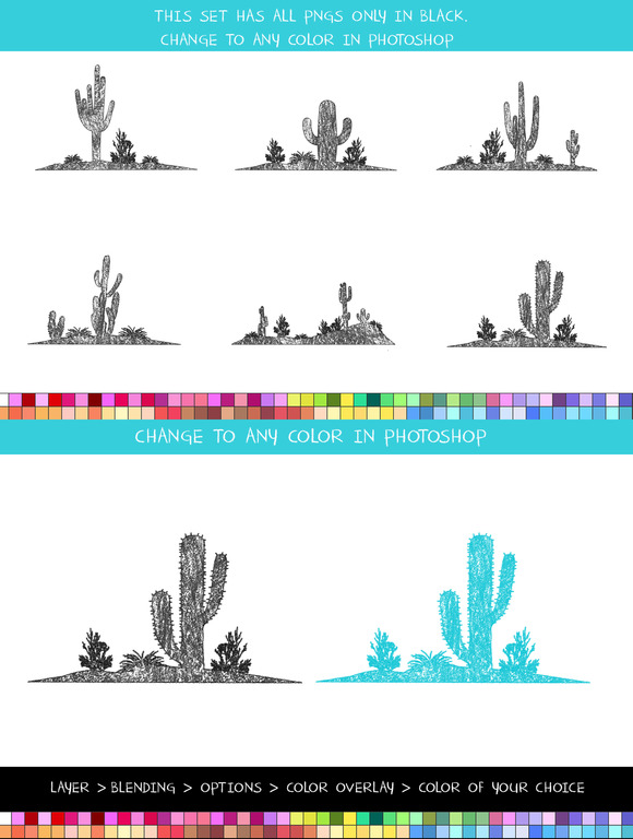 Crayon Cactus Landscape