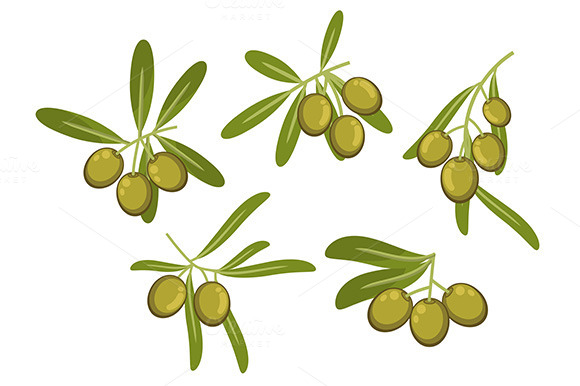 Italian Green Olives Icons