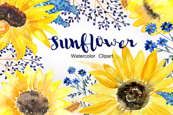 Sunflower Watercolor Clip Art ~ Illustrations on Creative ...
