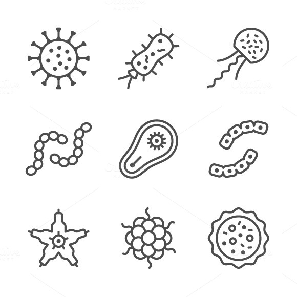 Set Line Icons Of Microbe