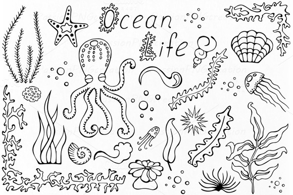 Ocean Life Clip Art