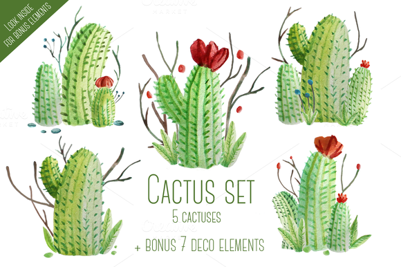 Cactus Watercolor Set