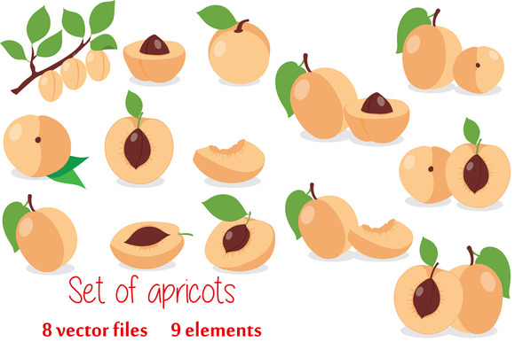 Apricot Set Apricots Pieces