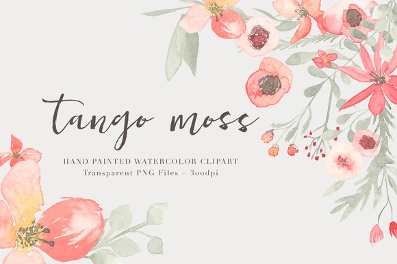 Watercolor Floral Clipart Tango