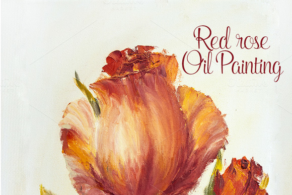 Beautiful Rose Oil Painting