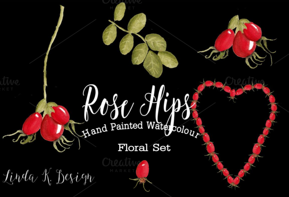 Rose Hips Watercolour Floral Set