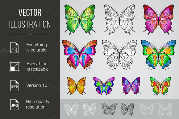 Set Of Different Colored Butterflies