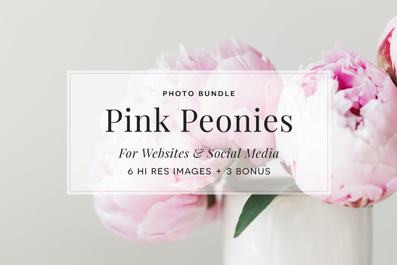 Pink Peony Bundle