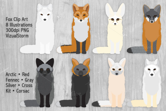 Fox Illustrations Woodland Animals
