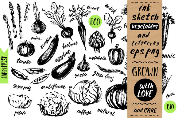 Ink Sketch Vegetables