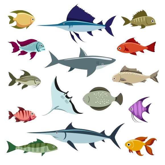 Colored Fish Vector Icons