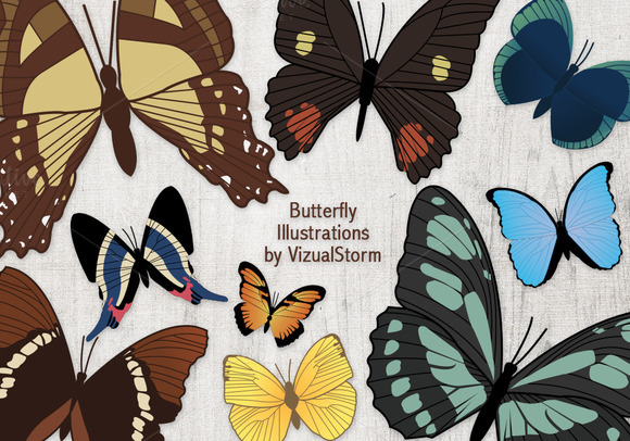 Vintage Butterfly Illustrations
