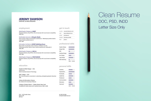 Clean Style Resume