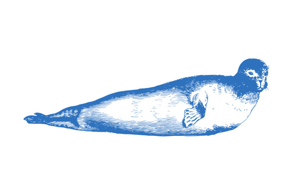 Vector Seal Etched Illustration