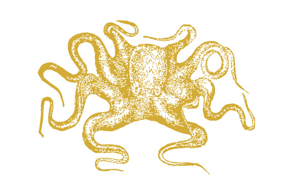Vector Octopus Illustration