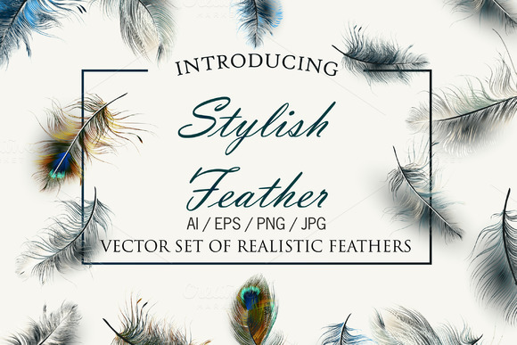 Vector Realistic Feathers Set
