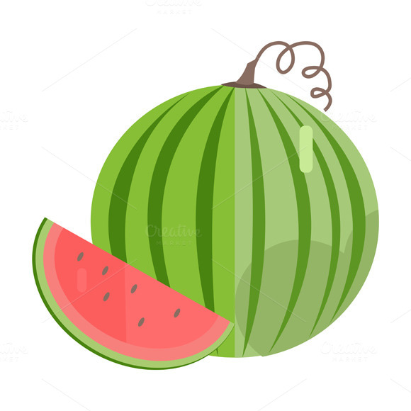 Watermelon Vector Illustration
