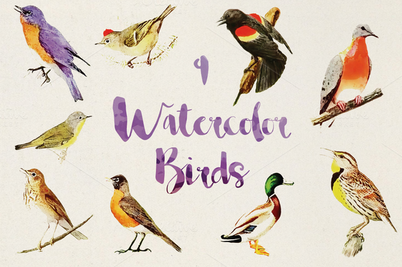 9 Vector Watercolor Birds