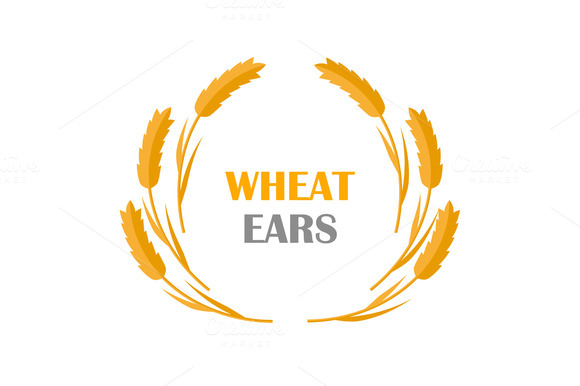 Wheat Ears Concept