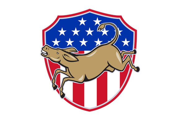 Democrat Donkey Mascot USA Flag