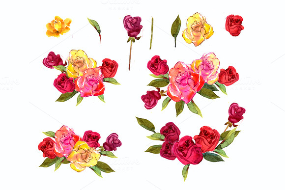 Ўн146 Flowers Rose Red Yellow