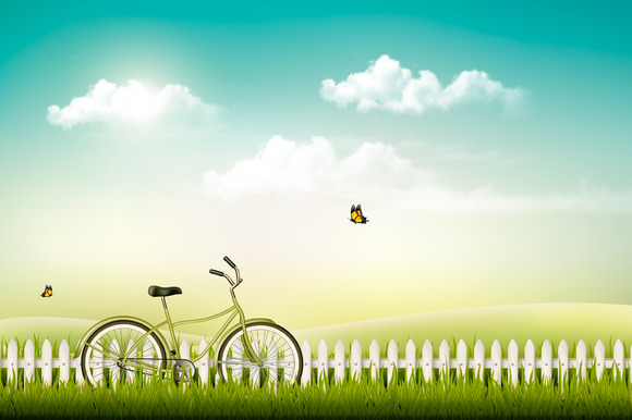 Meadow Landscape With A Bicycle