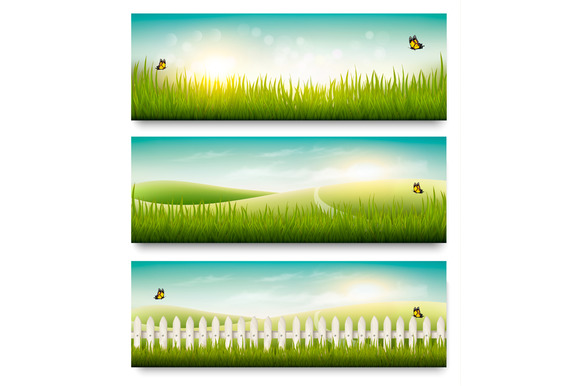 Nature Summer Banners