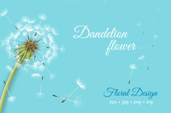 Dandelion Flower Graphic » Designtube - Creative Design Content