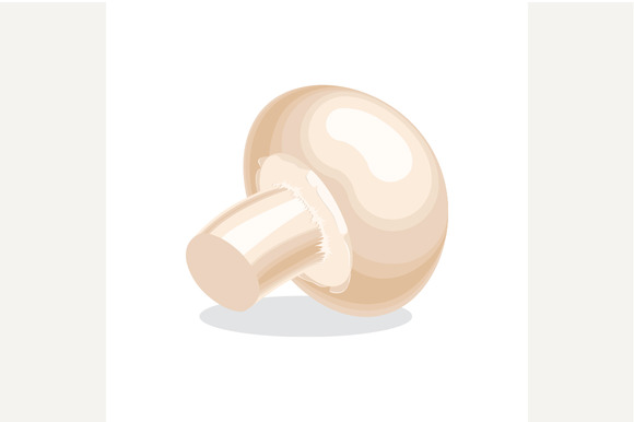 Agaricus Champignon Mushroom Agaricus Champignon Mushroom