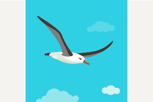 Albatross Is Flying In Cloudy Sky Albatross Is Flying In Cloudy Sky